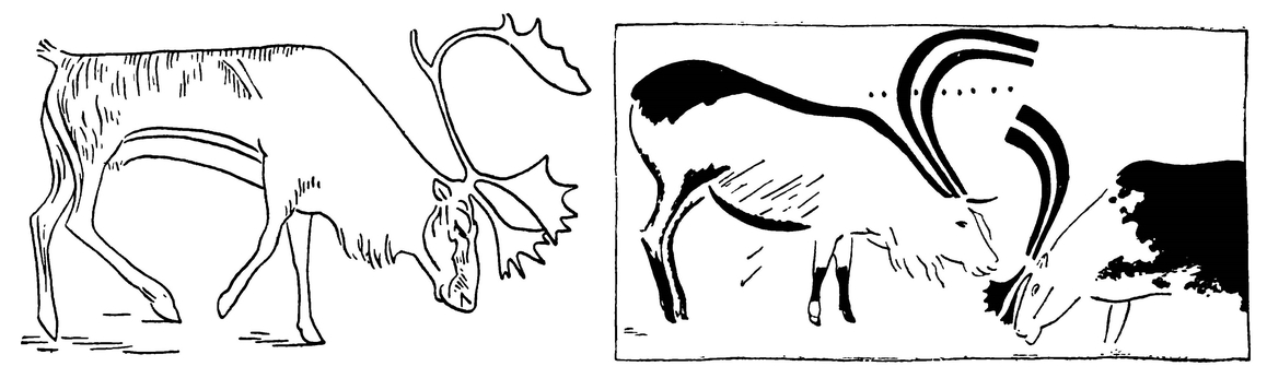 Стельная самка северного оленя. Элафостронгилезы северных оленей. Анатомия Северного оленя. Передний образ Северного оленя Степной лошади мамонта. Северный олень путаница.