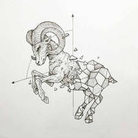 Зоология для учителя