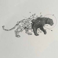 Зоология для учителя